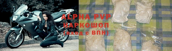 хмурый Белокуриха