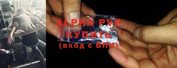 хмурый Белокуриха