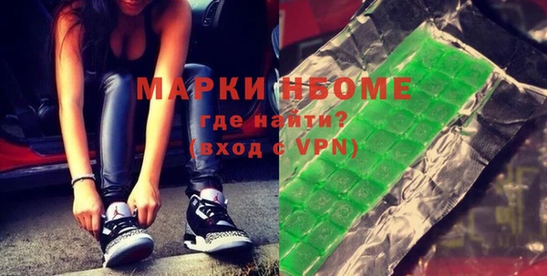 хмурый Белокуриха
