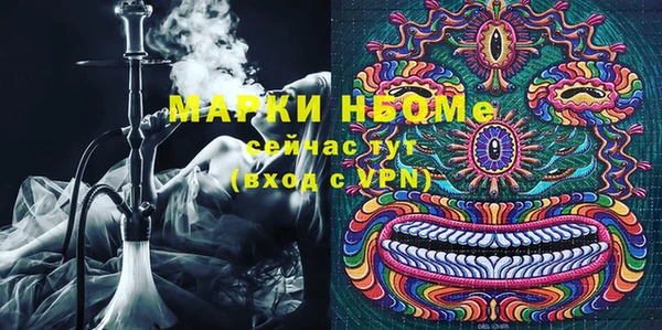хмурый Белокуриха