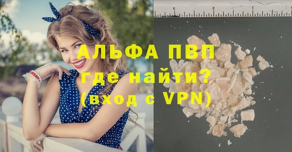 хмурый Белокуриха