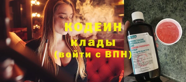 хмурый Белокуриха